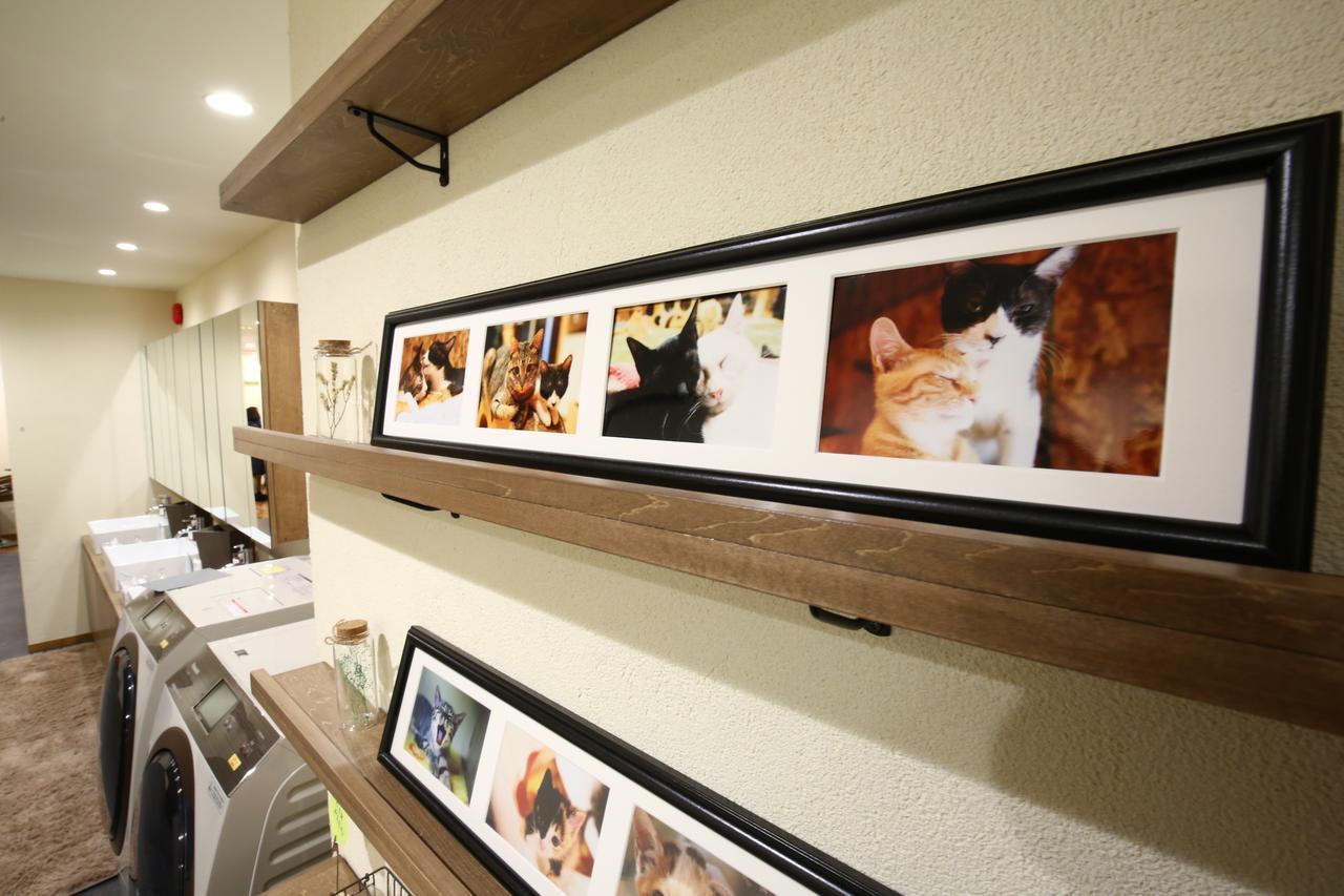 Yagura Hostel Fukuoka  Exterior photo